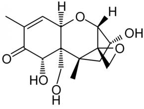 嘔吐毒素試紙條 嘔吐毒素試紙條