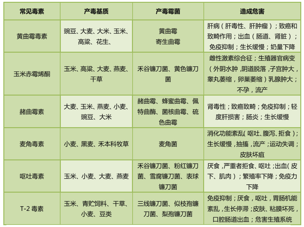 霉菌毒素的種類及危害 霉菌毒素的種類及危害