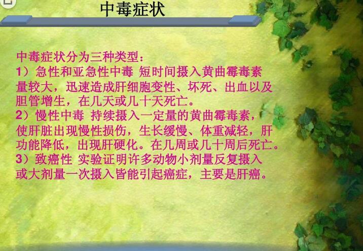 六、黃曲霉毒素對(duì)人和動(dòng)物有哪些危害？