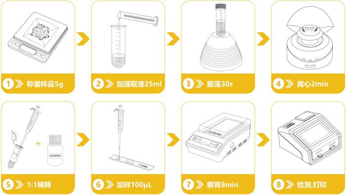 轉(zhuǎn)基因檢測(cè)流程 轉(zhuǎn)基因檢測(cè)流程