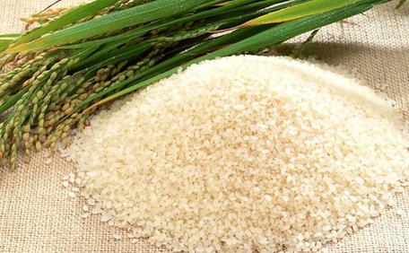 大米重金屬檢測 大米重金屬檢測