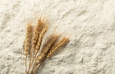 小麥面粉嘔吐毒素檢測(cè)儀 小麥面粉嘔吐毒素檢測(cè)儀