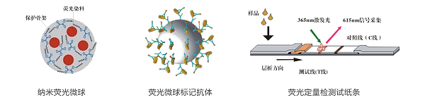 熒光定量快速檢測技術 熒光定量快速檢測技術