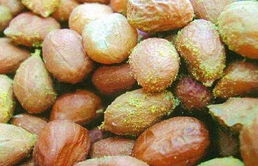 花生黃曲霉毒素